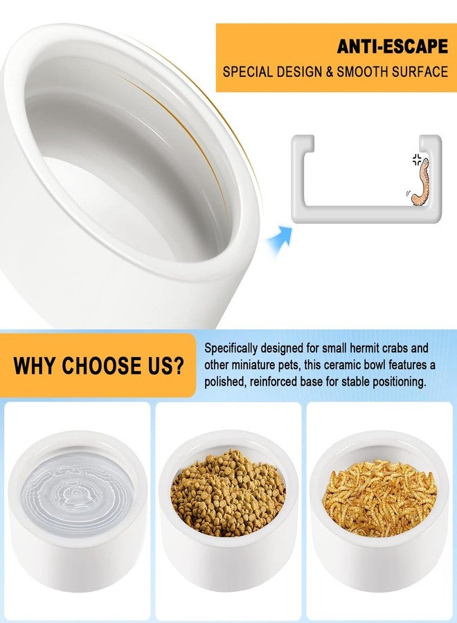 Eiito Reptile Food Bowl,Hermit Crab Lizard Gecko Ceramic Food Dish, 7 Compartments Anti-Turning Bearded Dragon Food & Water Bowl with Small Brush (White) - Image 2